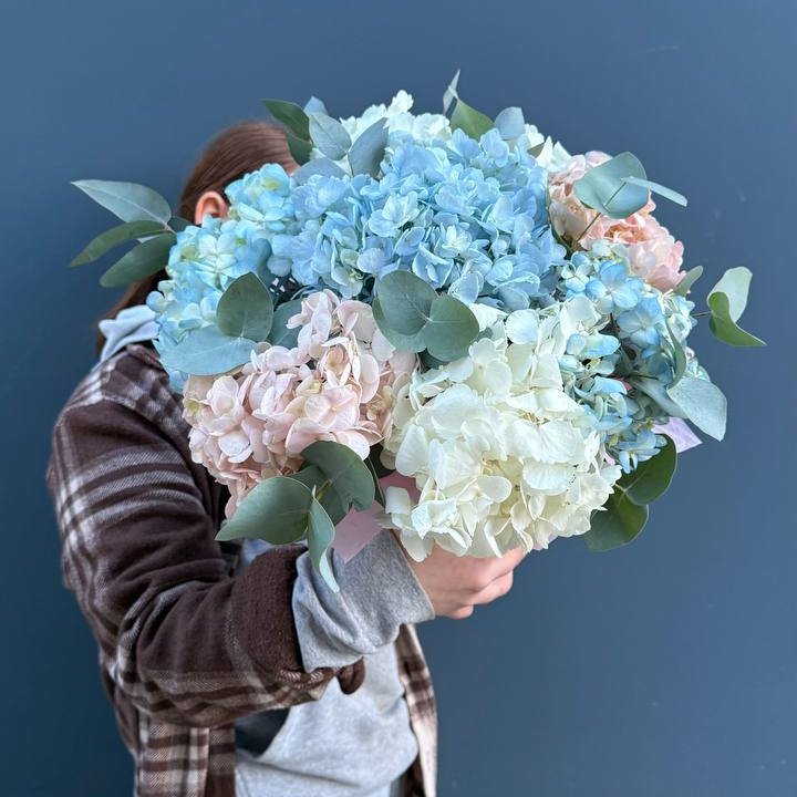 Гортензии в коробочке в Северодвинске