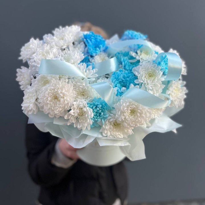 Хризнтемы в боксе в Северодвинске