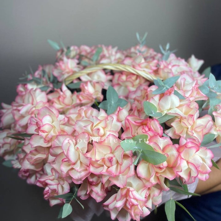 51 джумилия  в корзине   в Северодвинске