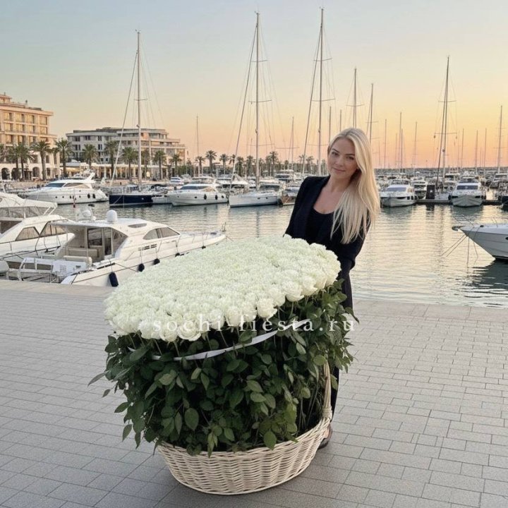 301 высокая роза в корзине в Северодвинске