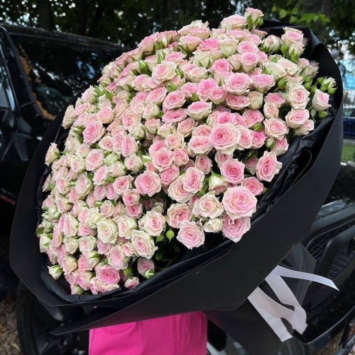 101 кустовая роза "Твистер" в Северодвинске