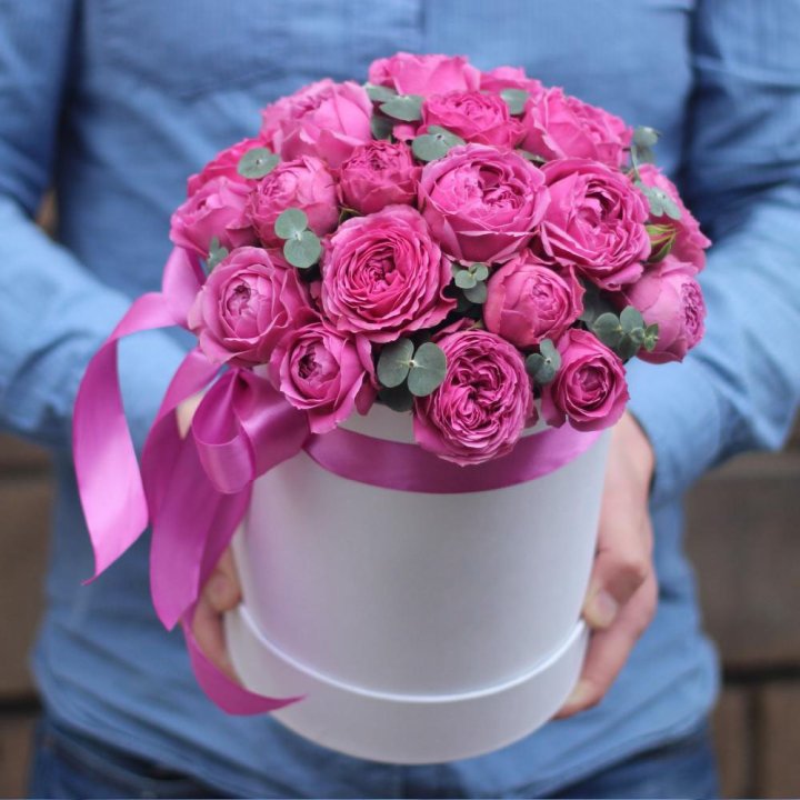 Бокс мисти баблс в Северодвинске