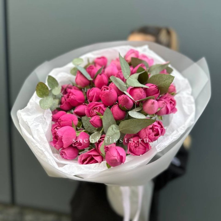 17 Мисти бабблс в Северодвинске