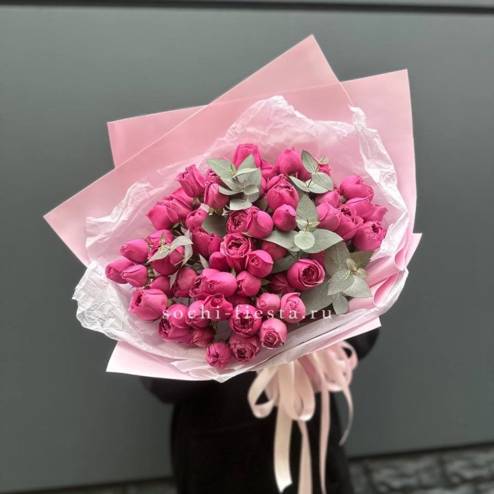 25 Мисти бабблс в Северодвинске