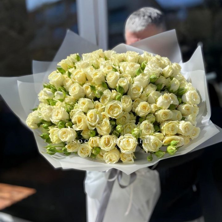 Белые кустовые розы 31 шт в Северодвинске