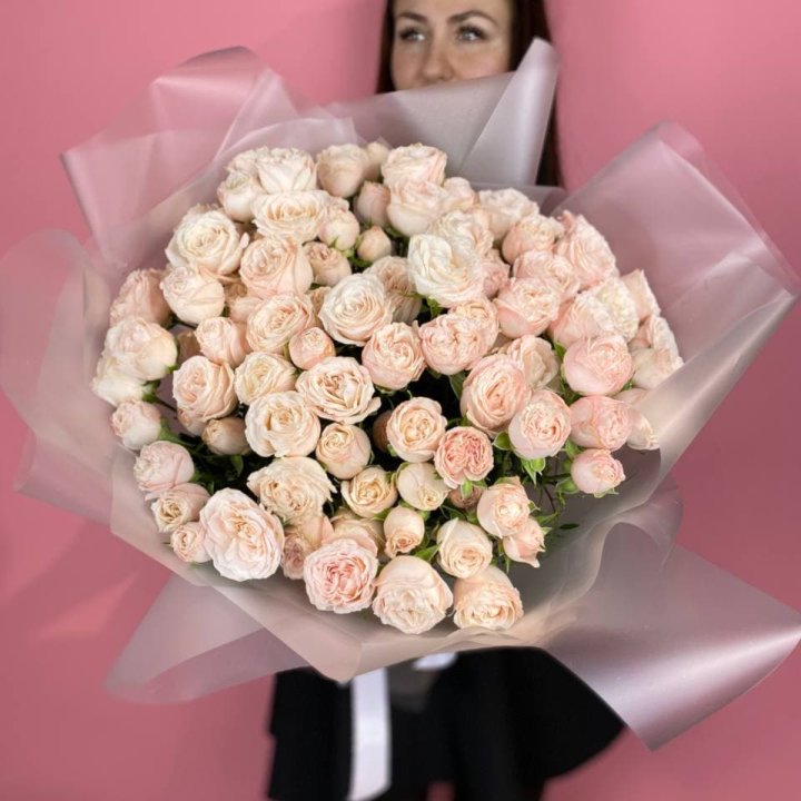 Carina в Северодвинске