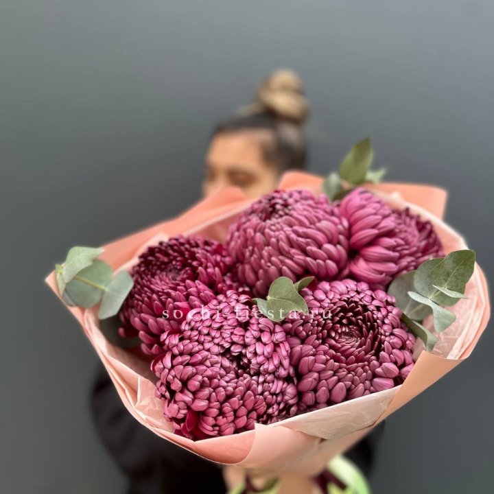 Хризантемы  Бигуди  в Северодвинске