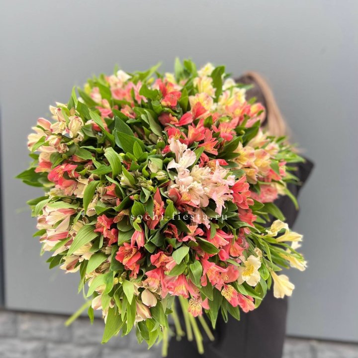 51 альстромерия в Северодвинске