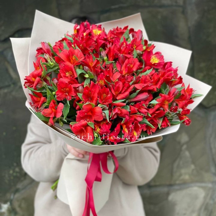 51 альстромерия в Северодвинске