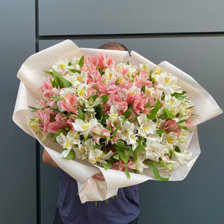 39 альстромерий в Северодвинске