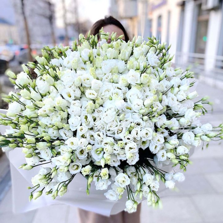 101 белая эустома в Северодвинске