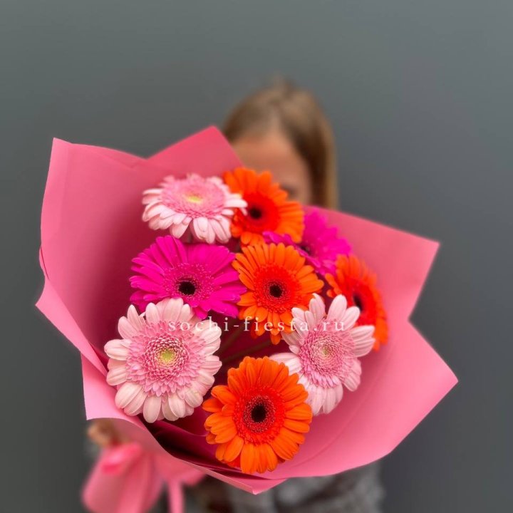 Краски в Северодвинске