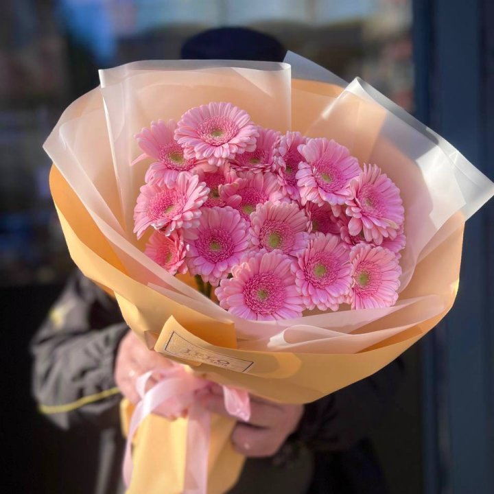 17 розовых гербер  в Северодвинске