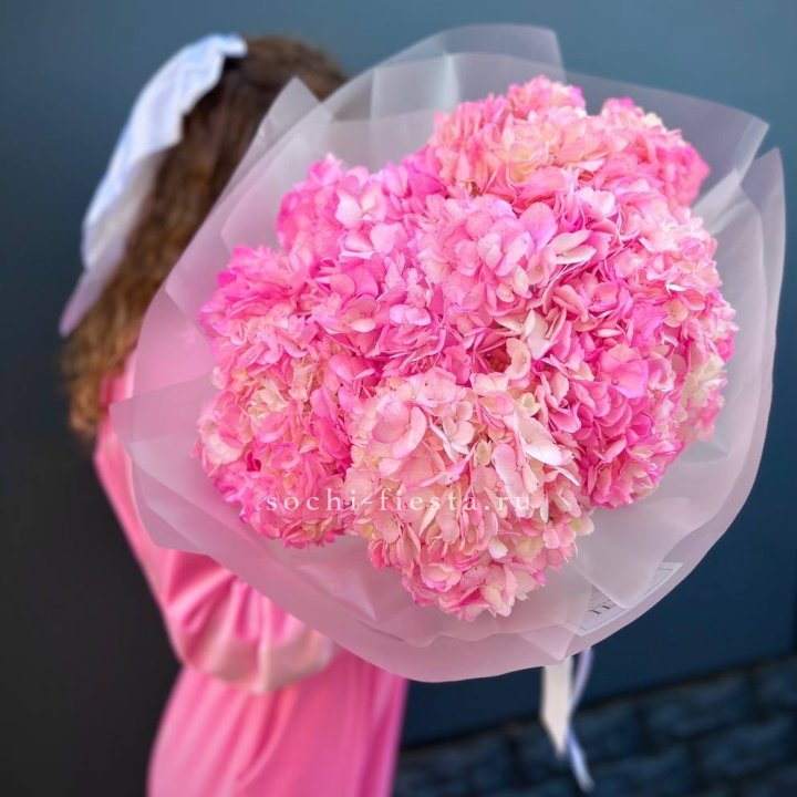 7 ярко розовых гортензий в Северодвинске