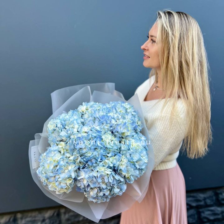 7 голубых гортензий в Северодвинске