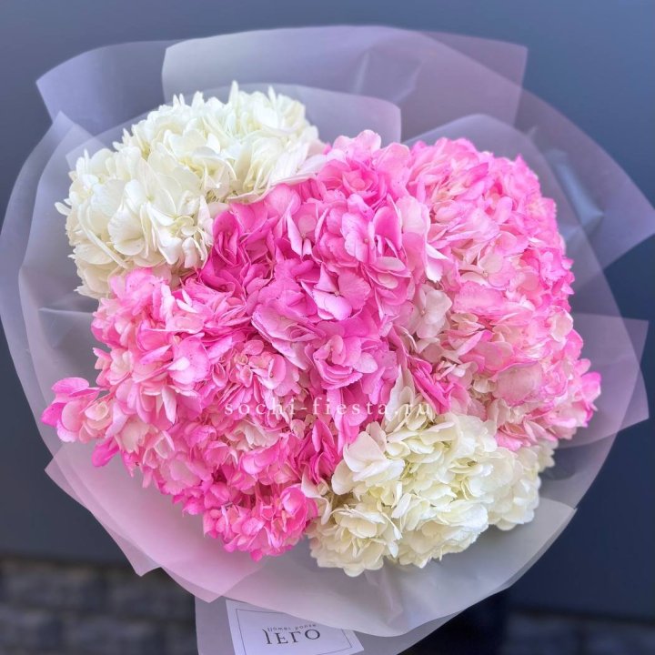 5 бело-розовых гортензий в Северодвинске