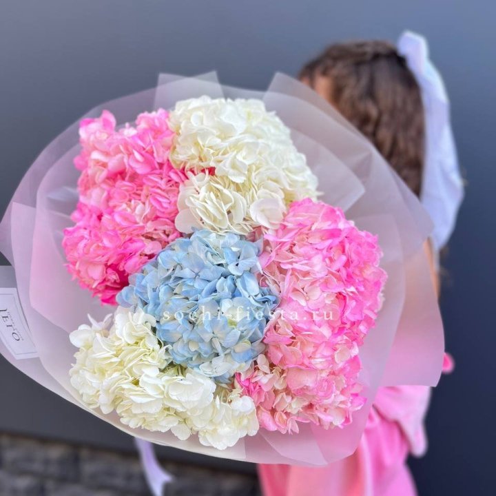 7 гортензий микс в Северодвинске