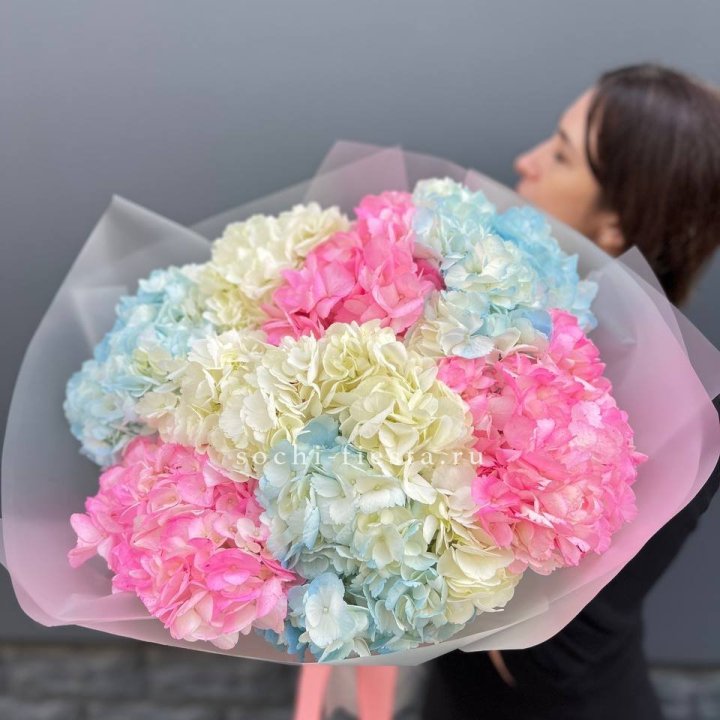 9 гортензий микс в Северодвинске