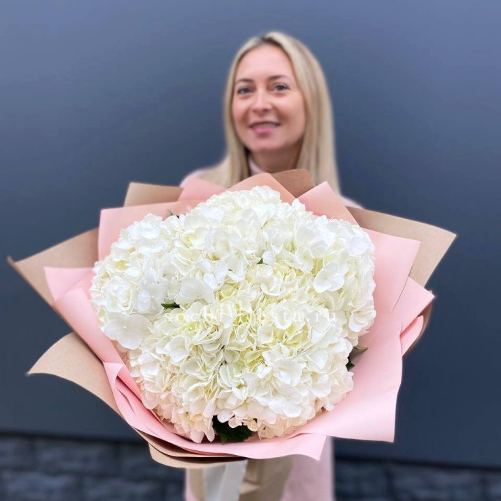 Гортензия белая в Северодвинске