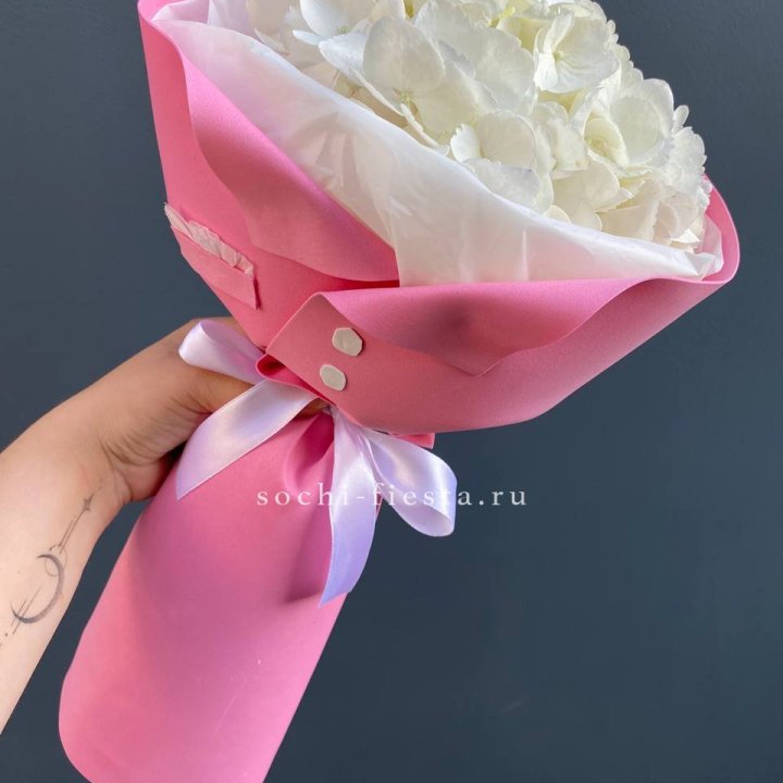 Гортензия в розовом пиджаке в Северодвинске