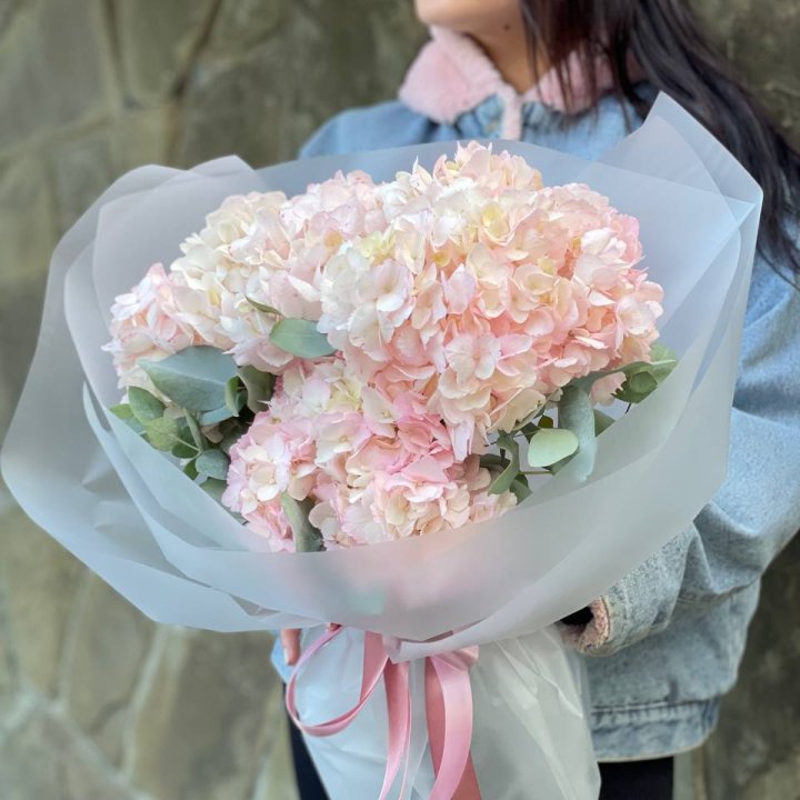 5 розовых гортензий в Северодвинске