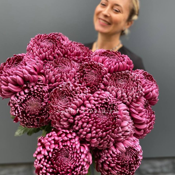 Охапка хризантем Бигуди в Северодвинске