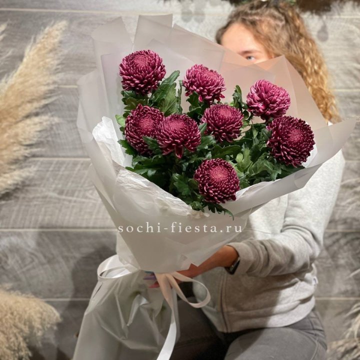 Хризантемы Бигуди в Северодвинске