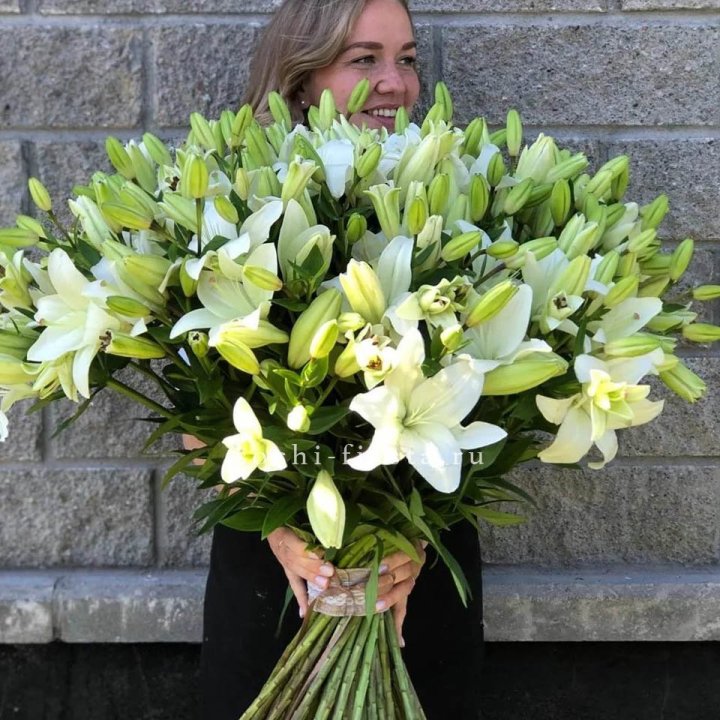 51 лилия в Северодвинске