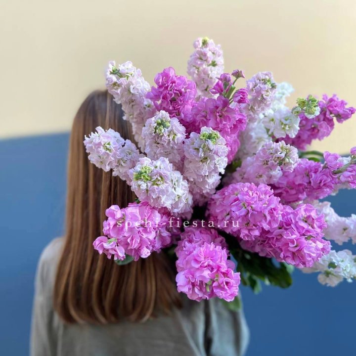 Охапка маттиолы в Северодвинске