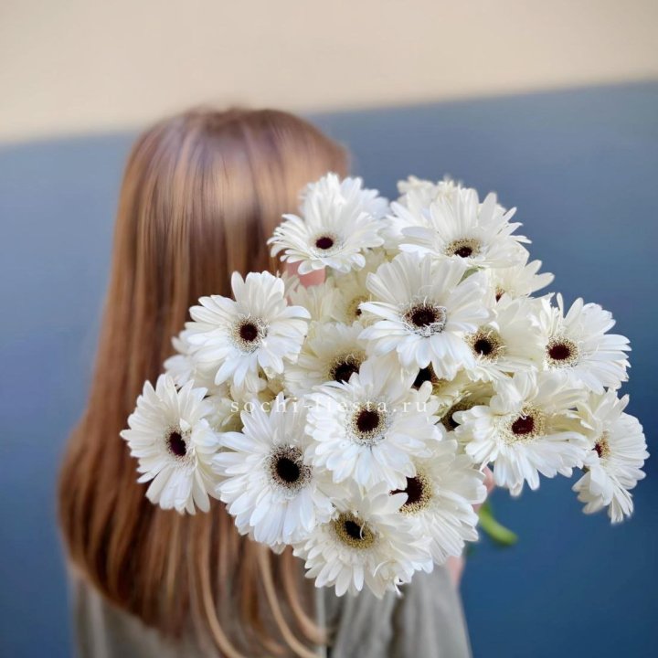 Охапка гербер в Северодвинске