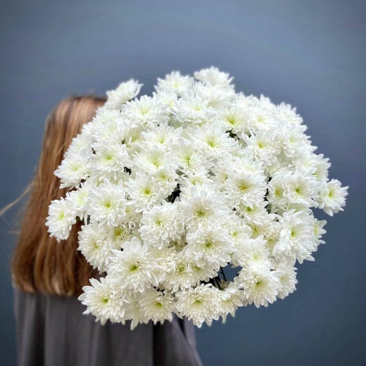 Охапка Хризантемы кустовой в Северодвинске