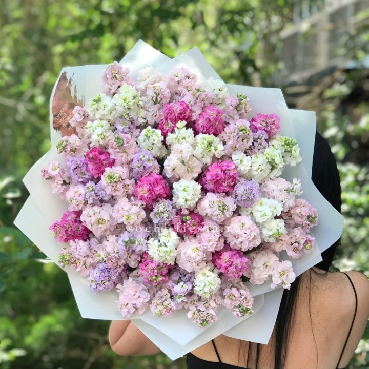 Букет ароматной маттиоллы №3 в Северодвинске