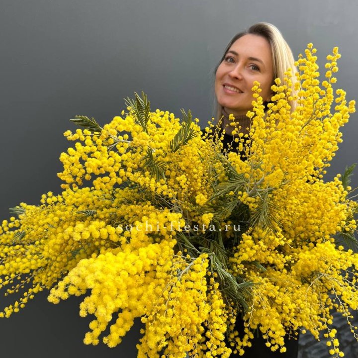 Охапка мимозы №2 в Северодвинске