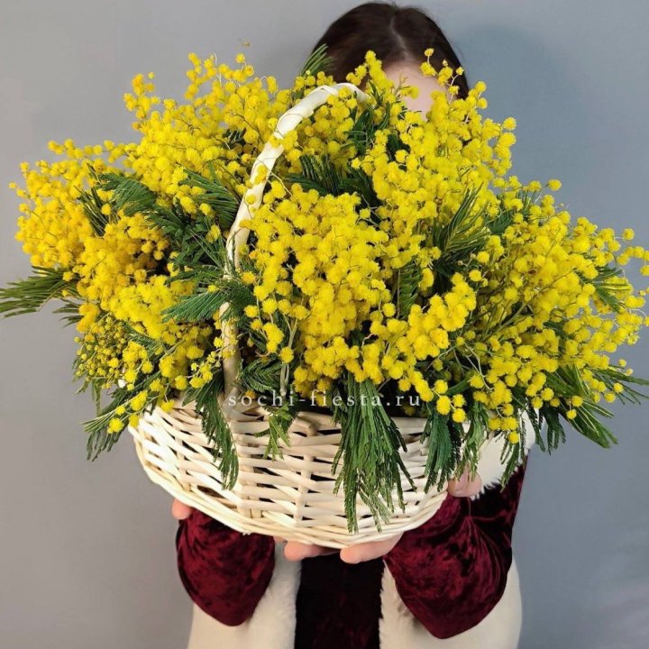 Корзина ароматной мимозы в Северодвинске