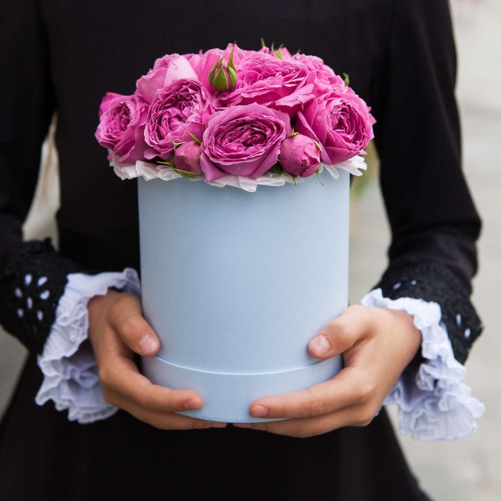 Бокс мини мисти в Северодвинске