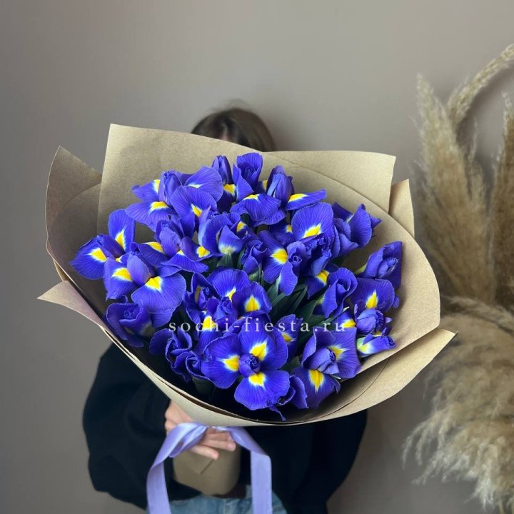 Ирисы в Северодвинске