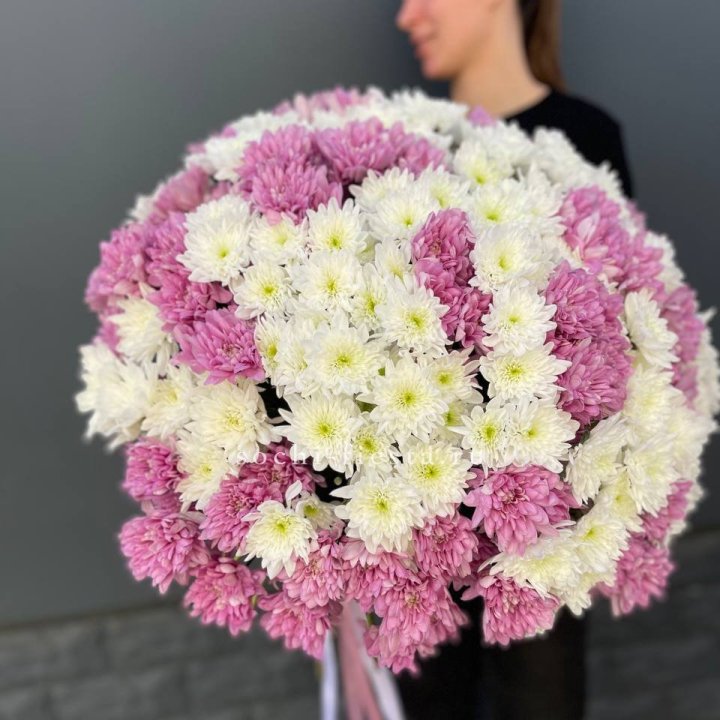  Букет 25 хризантем микс в Северодвинске