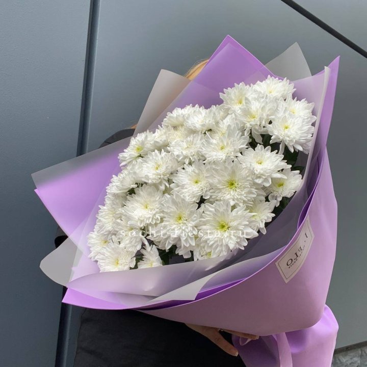  7 хризантем  в Северодвинске