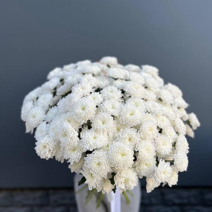  25 хризантем белых в Северодвинске