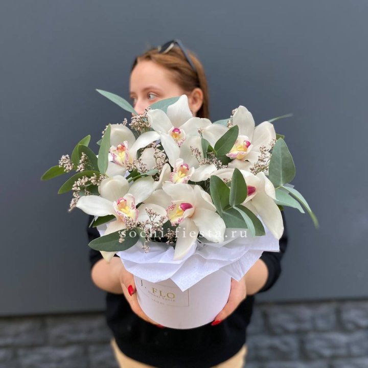 7 орхидей в боксе в Северодвинске