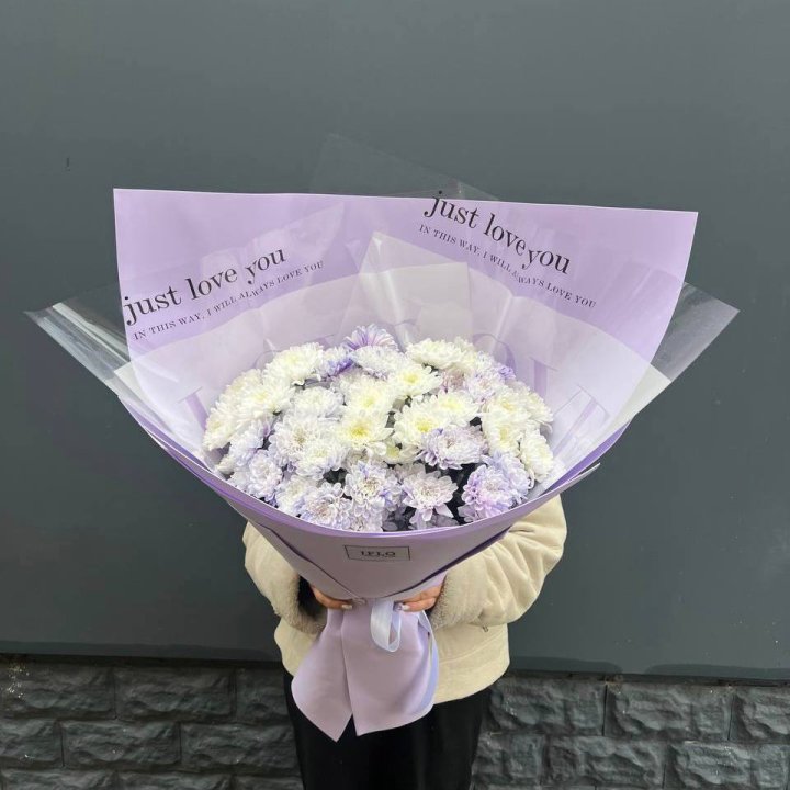 9 воздушных хризантем в Северодвинске