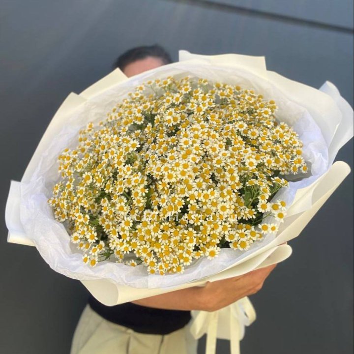 Букет ромашек №2 в Северодвинске