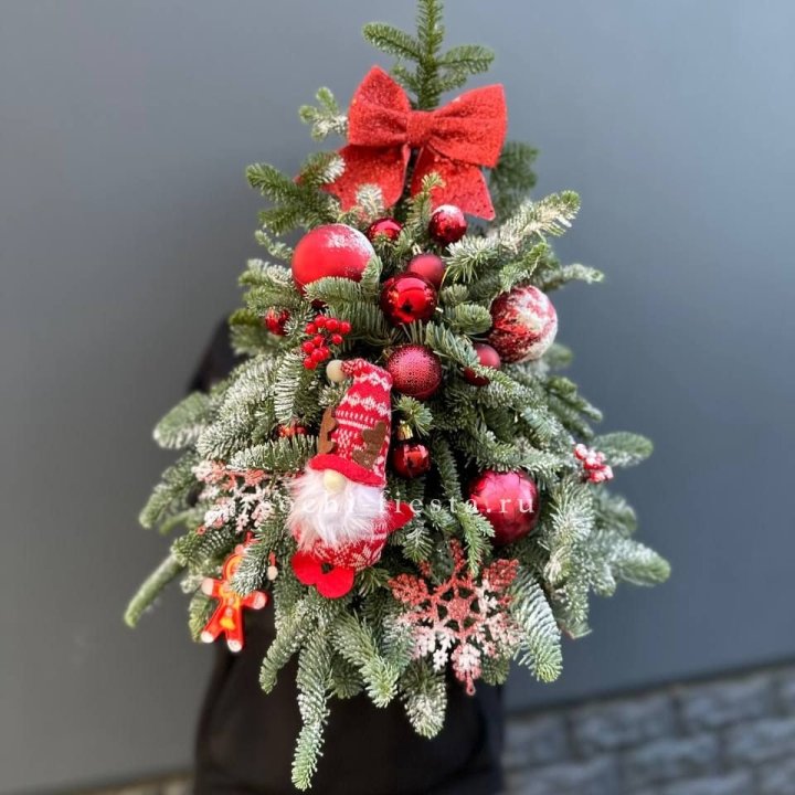 Новогодняя елочка "Ред" в Северодвинске