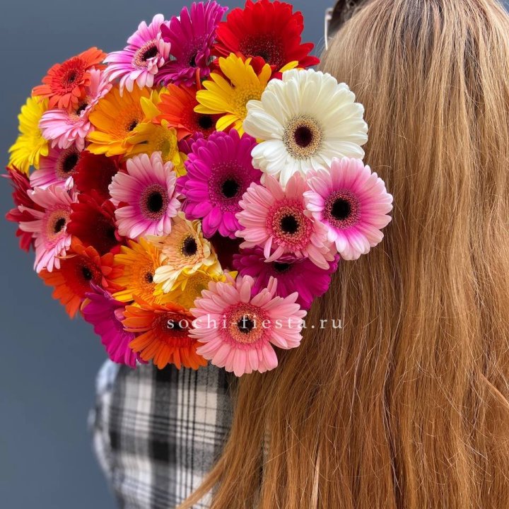 Охапка гербер  в Северодвинске