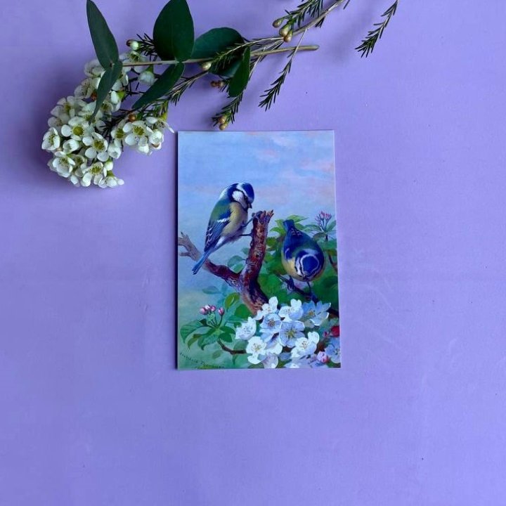 Открытка к букету "Птицы" в Северодвинске