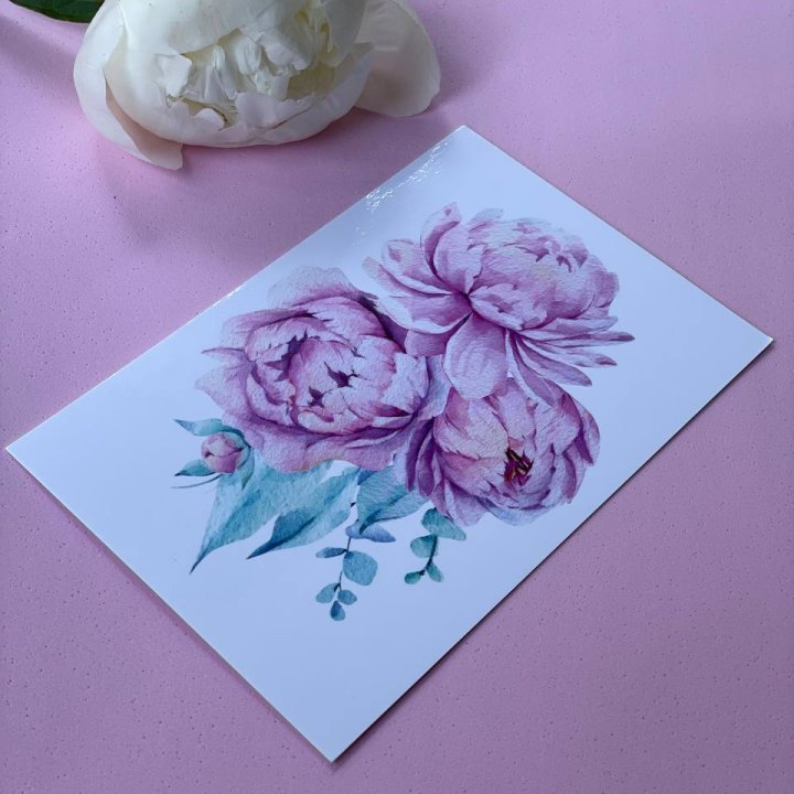 Открытка к букету "Пионы" в Северодвинске