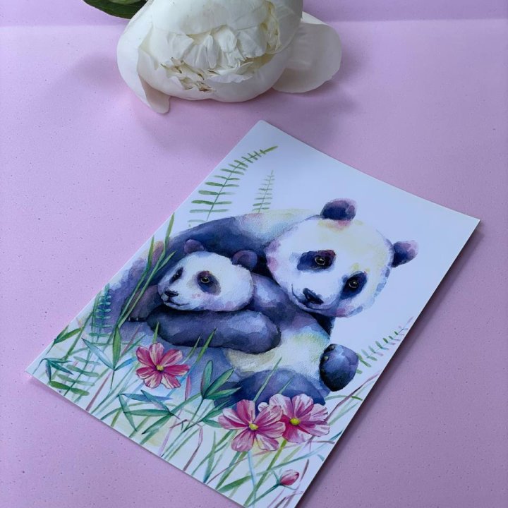 Открытка к букету "Объятие Панды" в Северодвинске