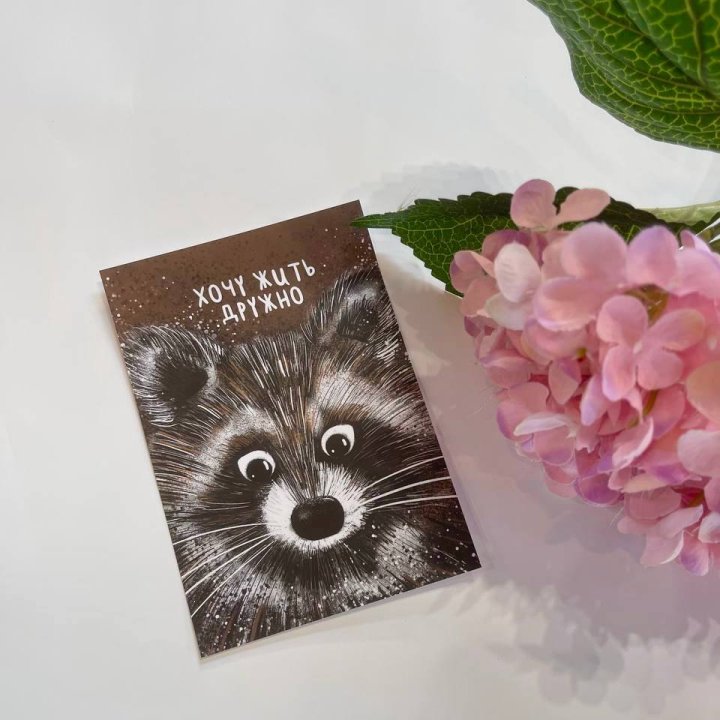 Открытка к букету "Енотик" в Северодвинске