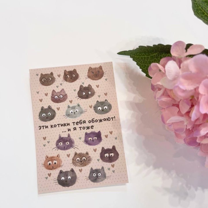 Открытка к букету "Котики" в Северодвинске