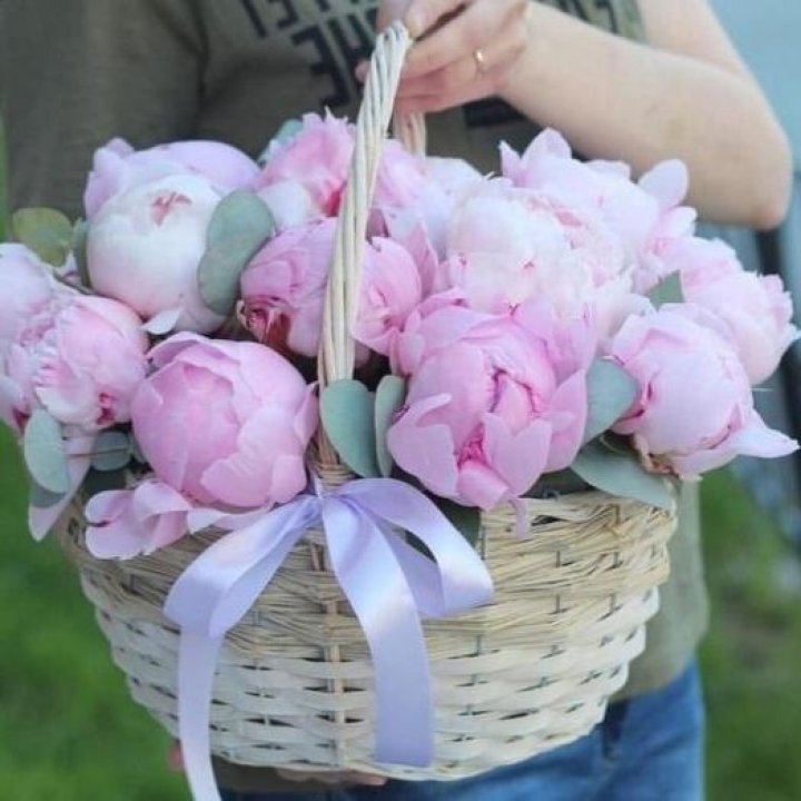 15 пионов в корзине в Северодвинске